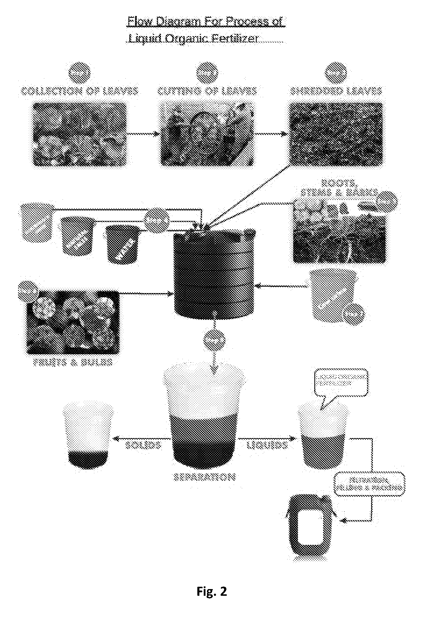 front page image