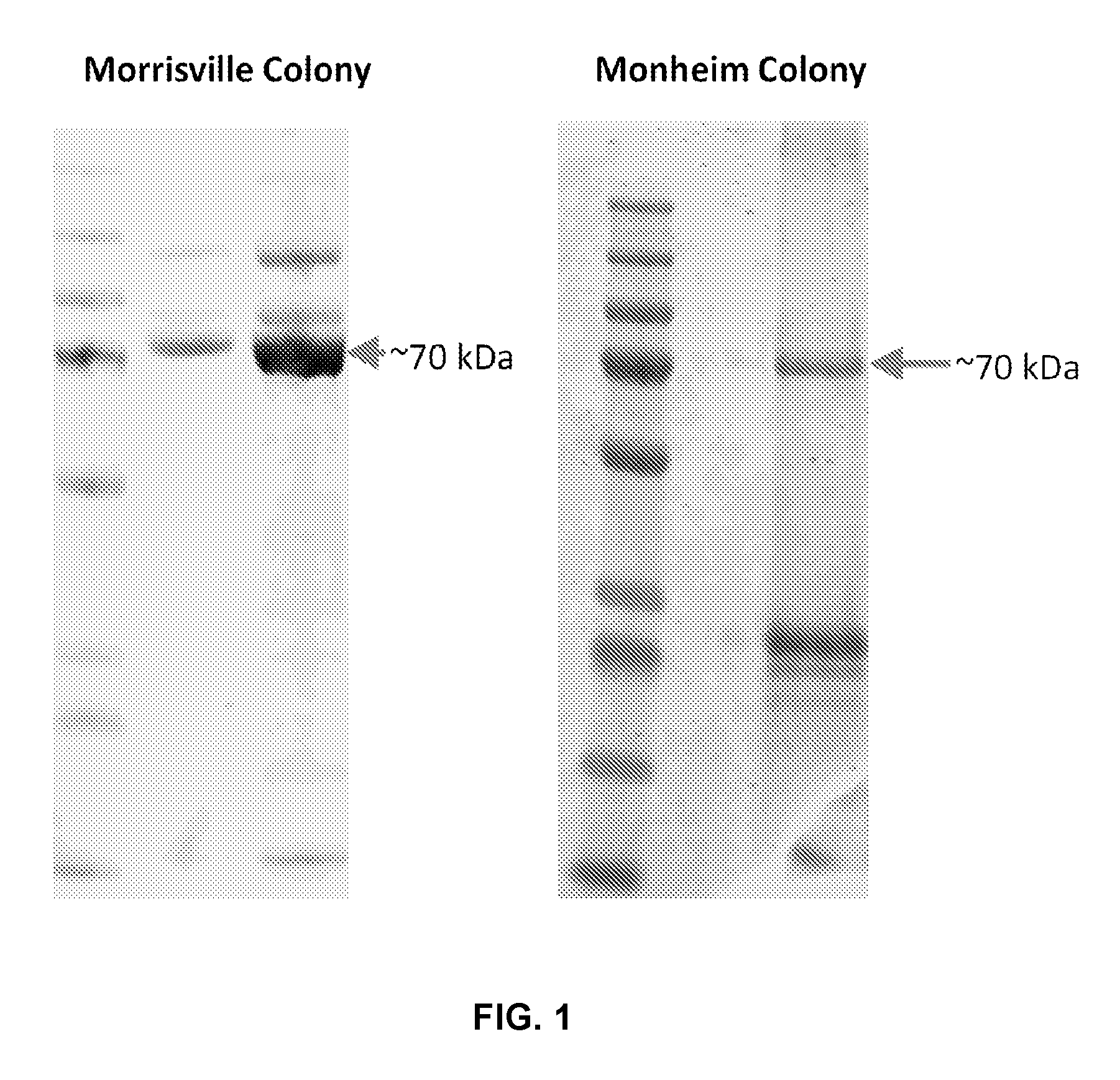 front page image