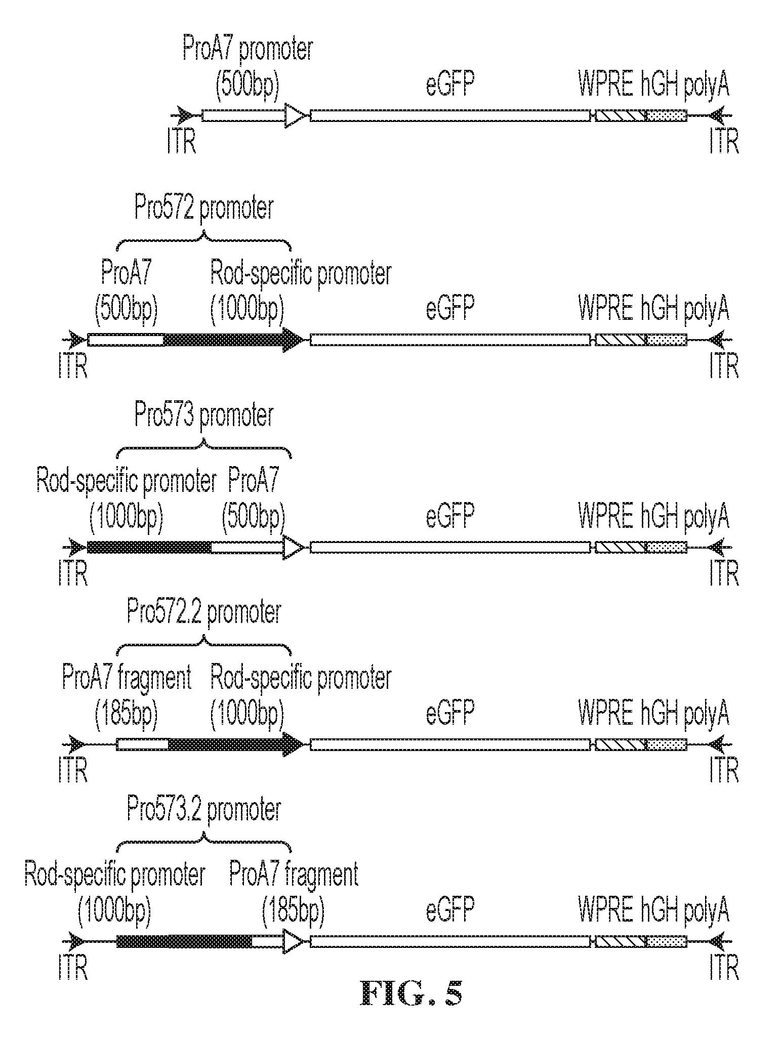 front page image