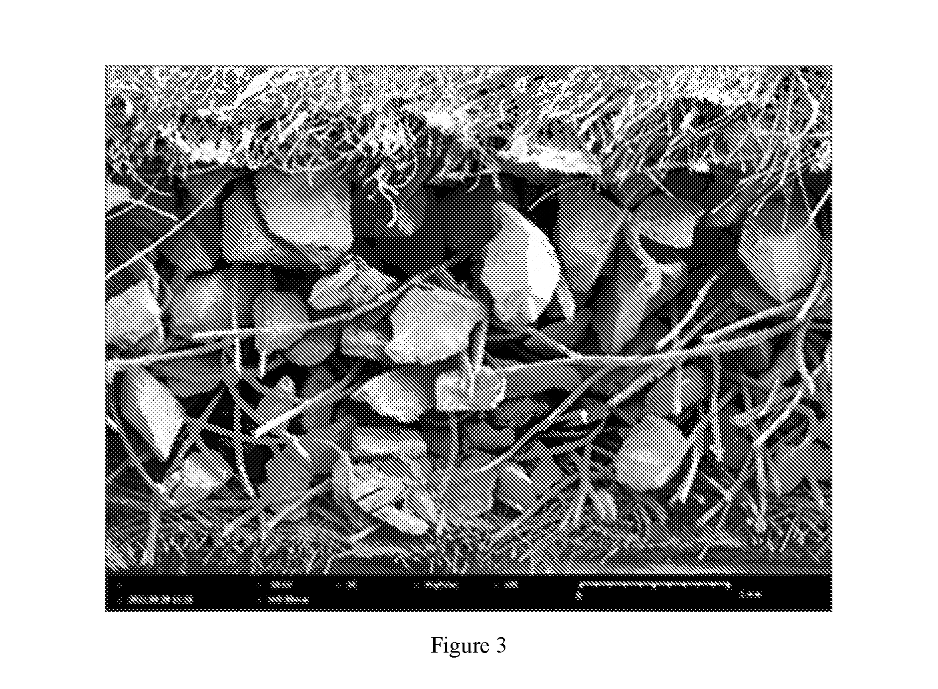 front page image