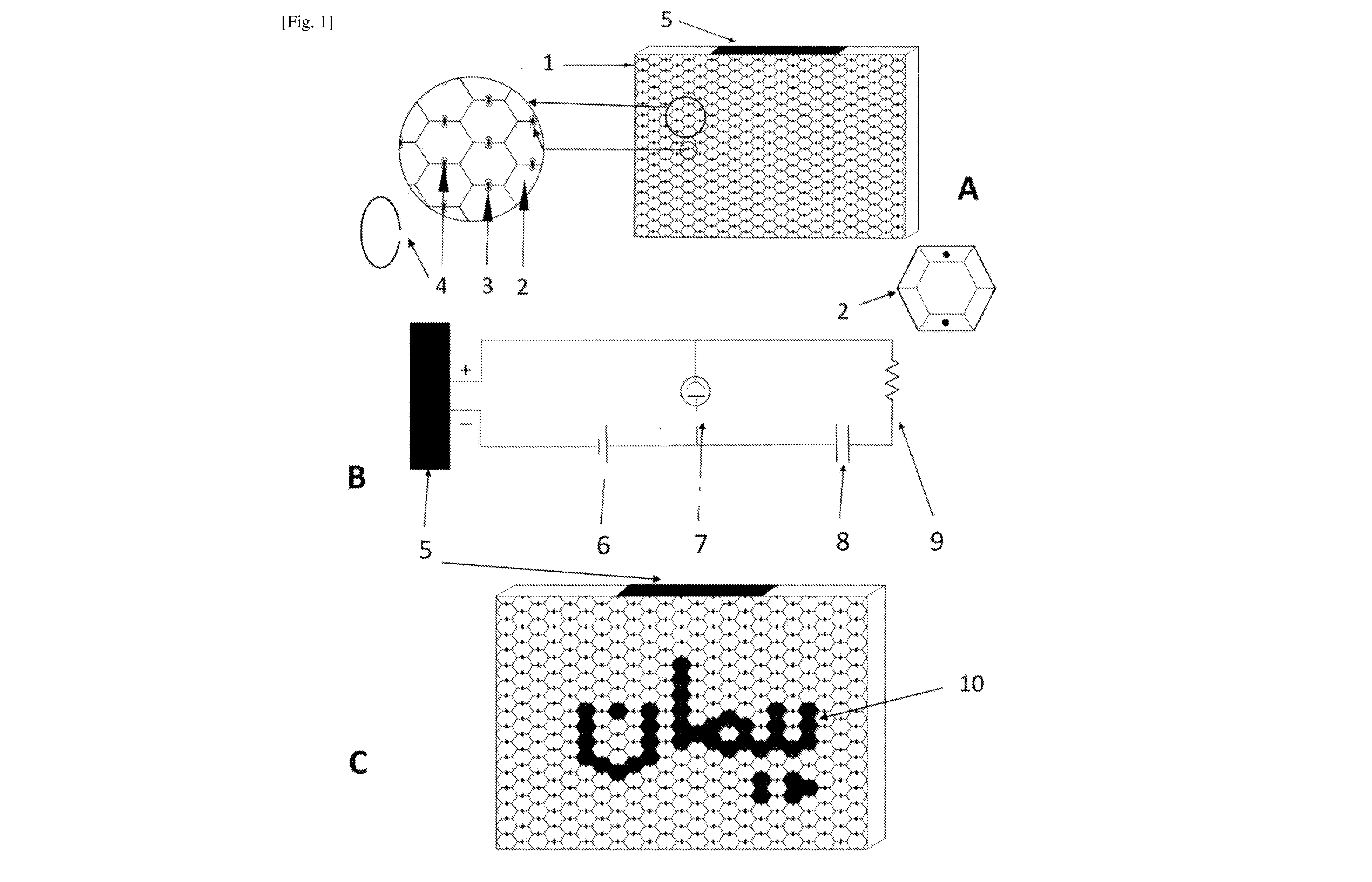 front page image