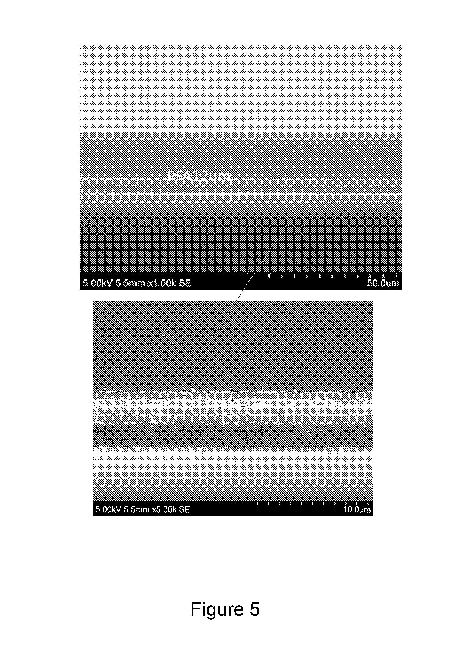 front page image