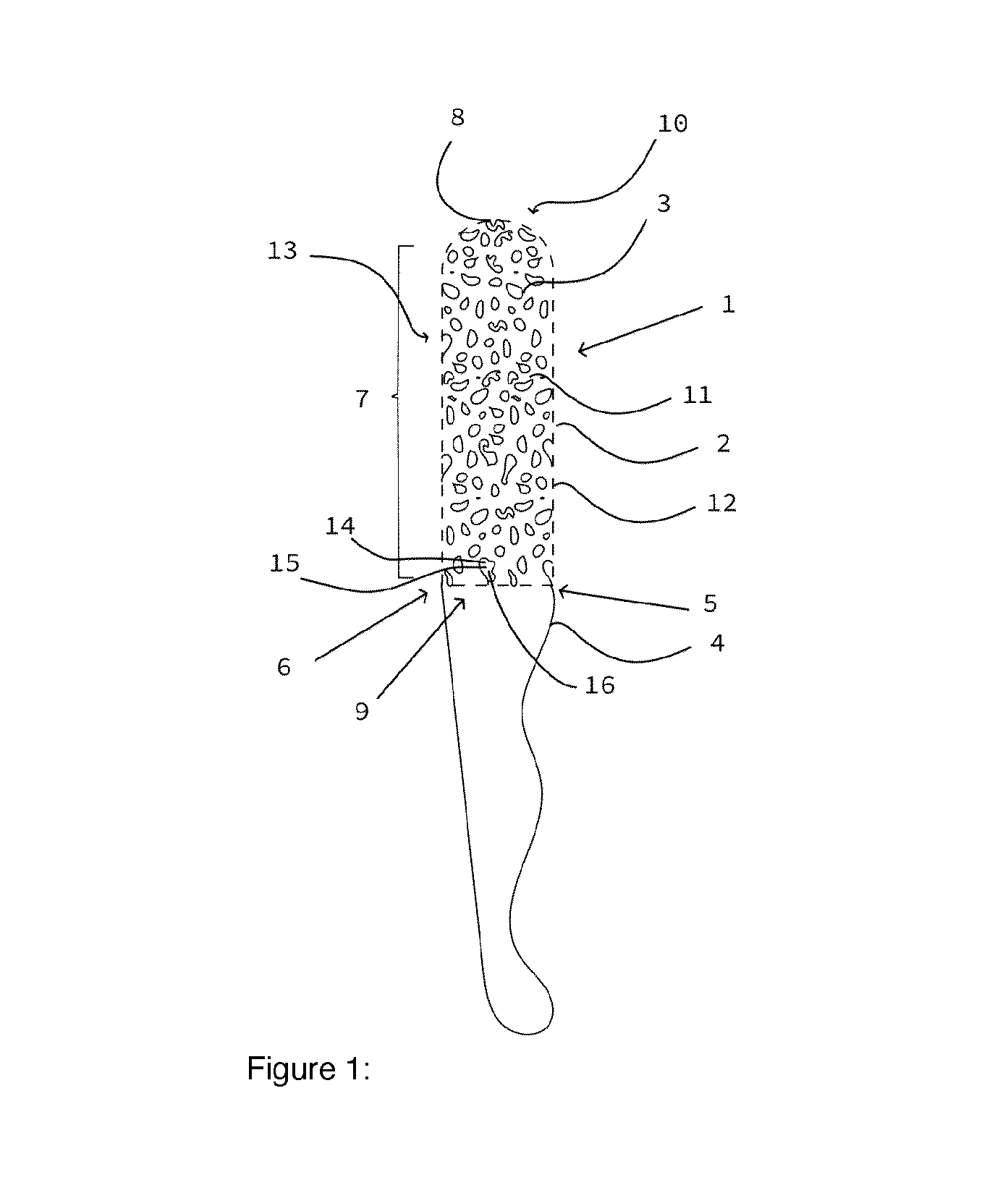 front page image