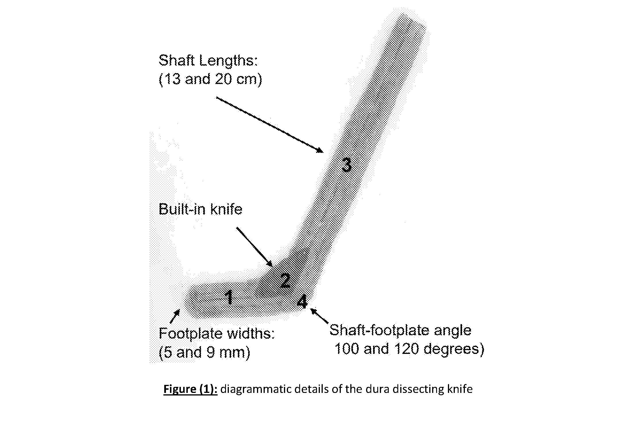 front page image